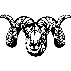 Dall Sheep Ram (stylized)