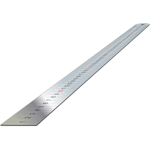 Stainless Steel Ruler (perspective)