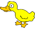 Duck 008