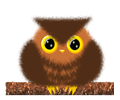Brown Owlet