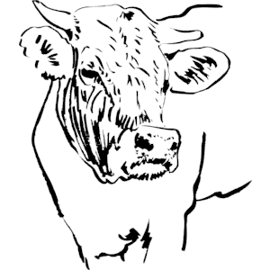 Cow art
