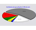 French Pie Chart