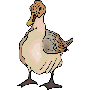 Duck 44