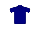 Polo Shirt Blue Front
