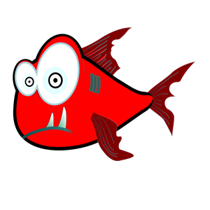 Red Crazy Piranha Very Large