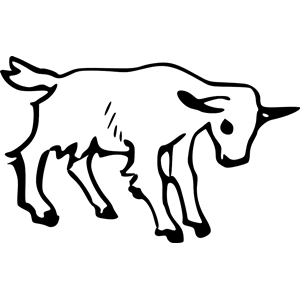 goat with white fill