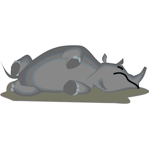 Rhino_Sleeping