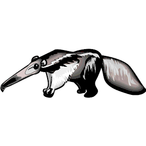 Anteater 2