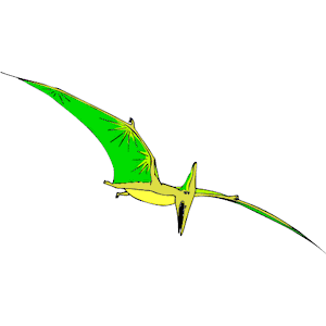 Dinornis 3
