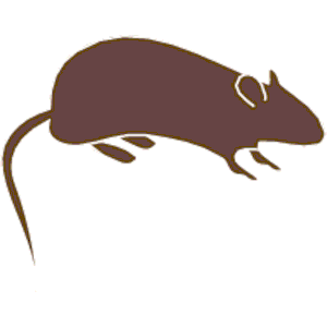 Mouse 01