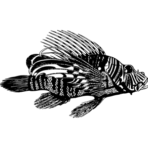 Lionfish