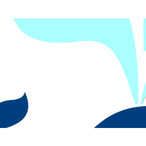 Whale Blue Teal