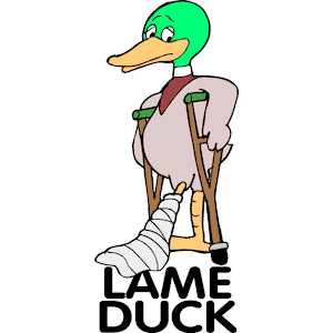 Leme Duck