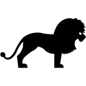 Lion 002
