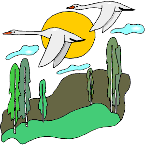 Geese Flying 5