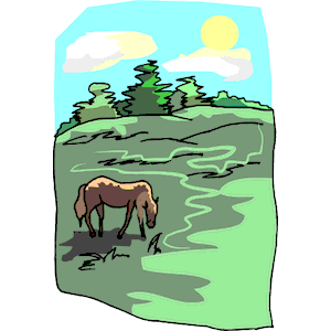 Horse Grazing