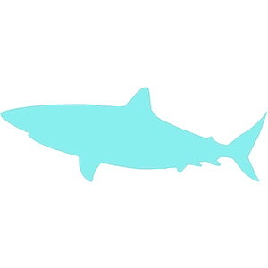 Shark 5
