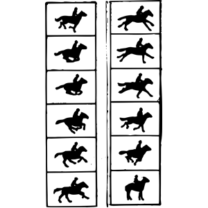 Horse Animation Frames