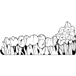 Row of Flowers