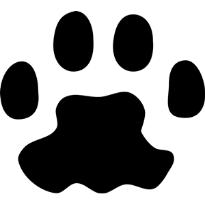 Cat paw print