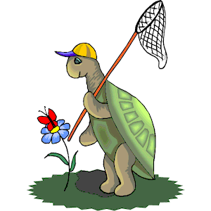 Turtle_Catching_Butterfly.png