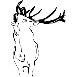 Deer 04