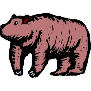 Bear 20