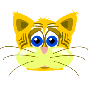 Peterm sad tiger cat