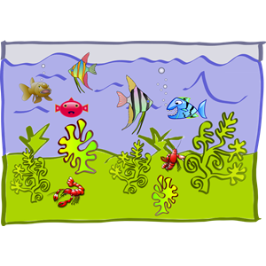 underwater world - aquarium
