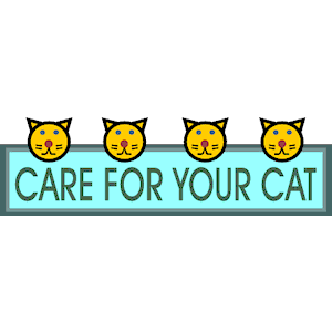 Care For Your Cat