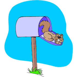 Squirrel in Mailbox