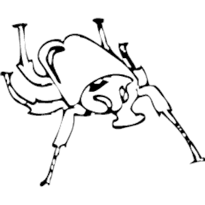 Beetle 03