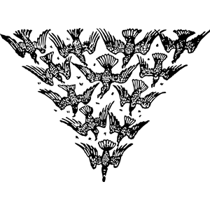 triangle of birds