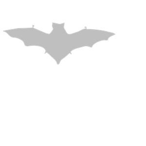 Grey Bat Silhouette