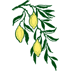 lemon branch