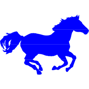 Horse 11