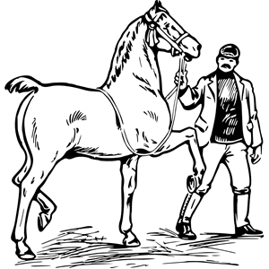 Man And Horse Clipart Cliparts Of Man And Horse Free Download Wmf Eps Emf Svg Png Gif Formats