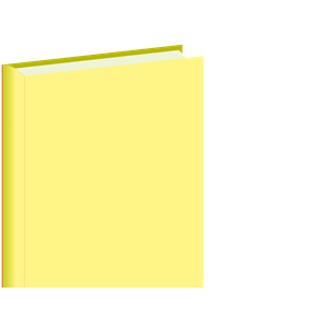 Light Yellow Book