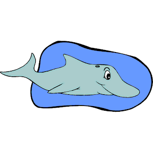Dolphin 5