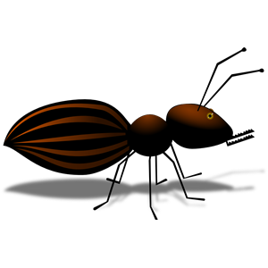 Ant Cartoon Style