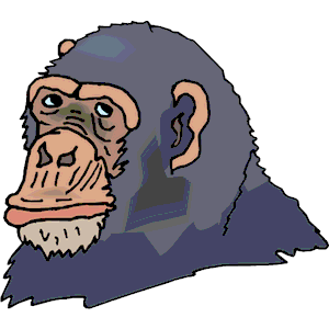 Chimp 06