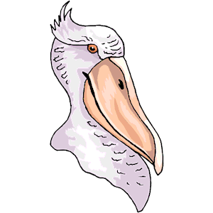 Pelican 10