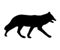 Silhouette - fox