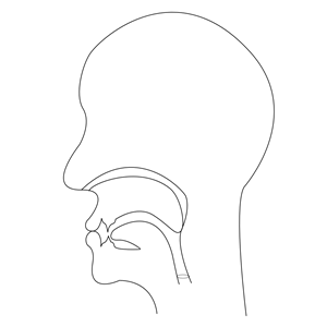 midsagittal P - voiceless bilabial plosive