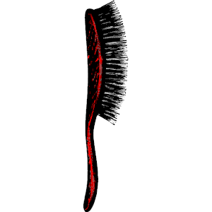 Hair Brush 1