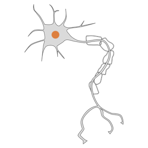 simple neuron