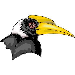 Hornbill 4