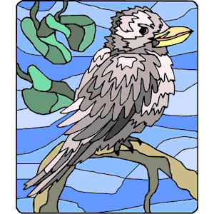 Kookaburra 3
