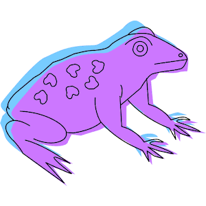 Frog 037