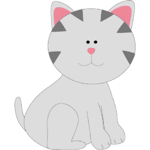 Gray kitty cat